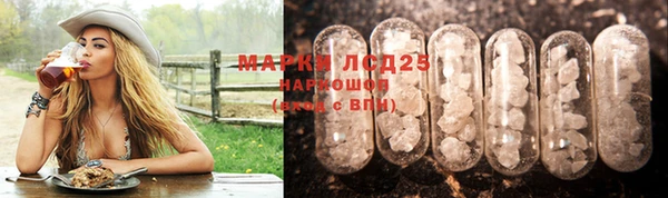 скорость Кукмор