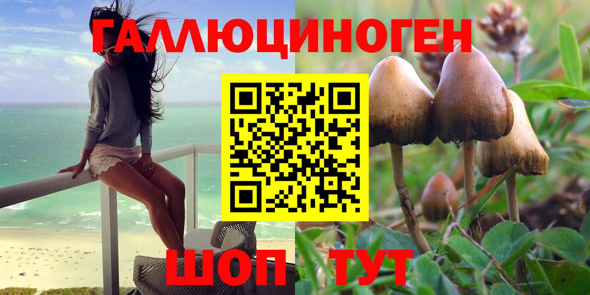 Псилоцибиновые грибы GOLDEN TEACHER Норильск